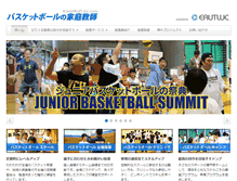 Tablet Screenshot of basketballtutor.com